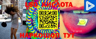 гидропоника Можга