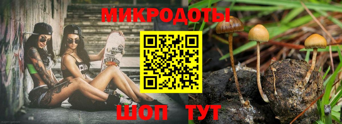 Галлюциногенные грибы Cubensis  Псилоцибиновые грибы Psilocybine cubensis  Усинск  Вход с VPN 